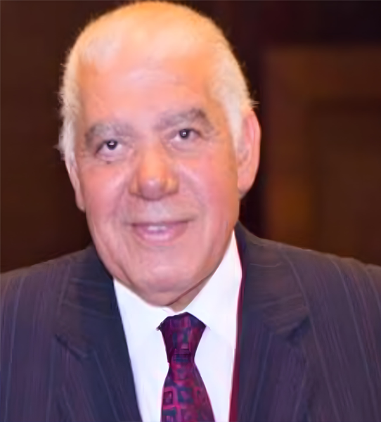 Prof. Dr. Mahmoud Elsayed Mohamed Elnaghi