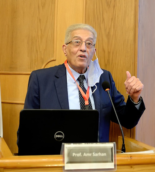 Prof. Dr. Amr Ali Ali Sarhan